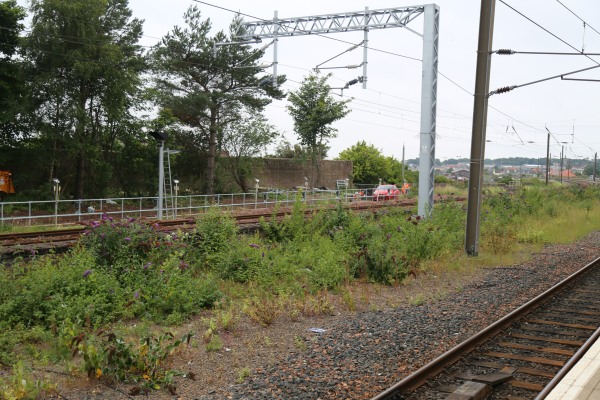 Dunbar Platform Construction - 2020-08-13